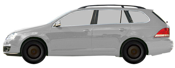 Volkswagen Golf V 1K5 Variant (2007-2008) 1.9 TDI 4MOTION